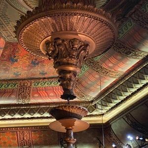 Meet your Posher, Bruce